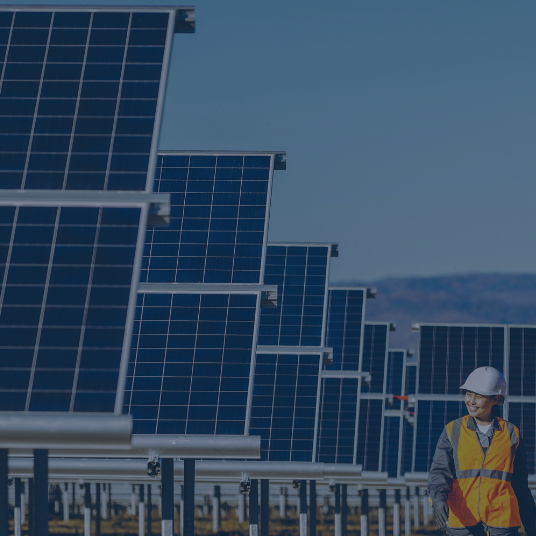 How State Can Push Back Against the Destructive Expansion of Industrial Solar Power